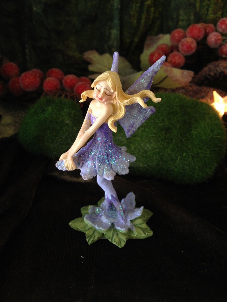 Shy Fairy Lavender
